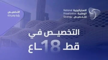 شملت التعليم.. 18 قطاعاً مستهدفاً بالتخصيص ضمن بنود الاستراتيجية الوطنية الجديدة السعودية